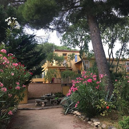 Gites De La Massane Argelès-sur-Mer Exteriör bild