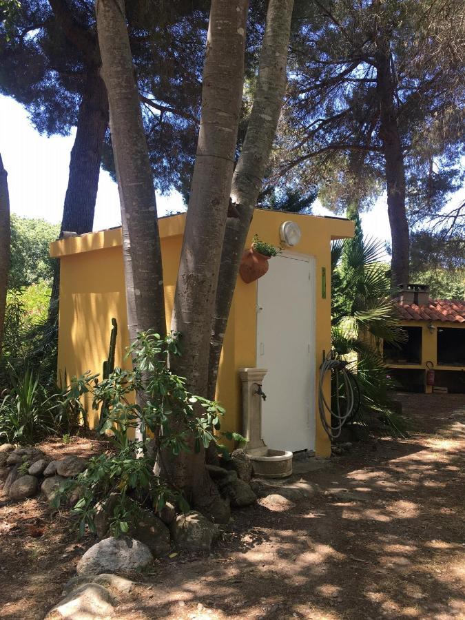 Gites De La Massane Argelès-sur-Mer Exteriör bild